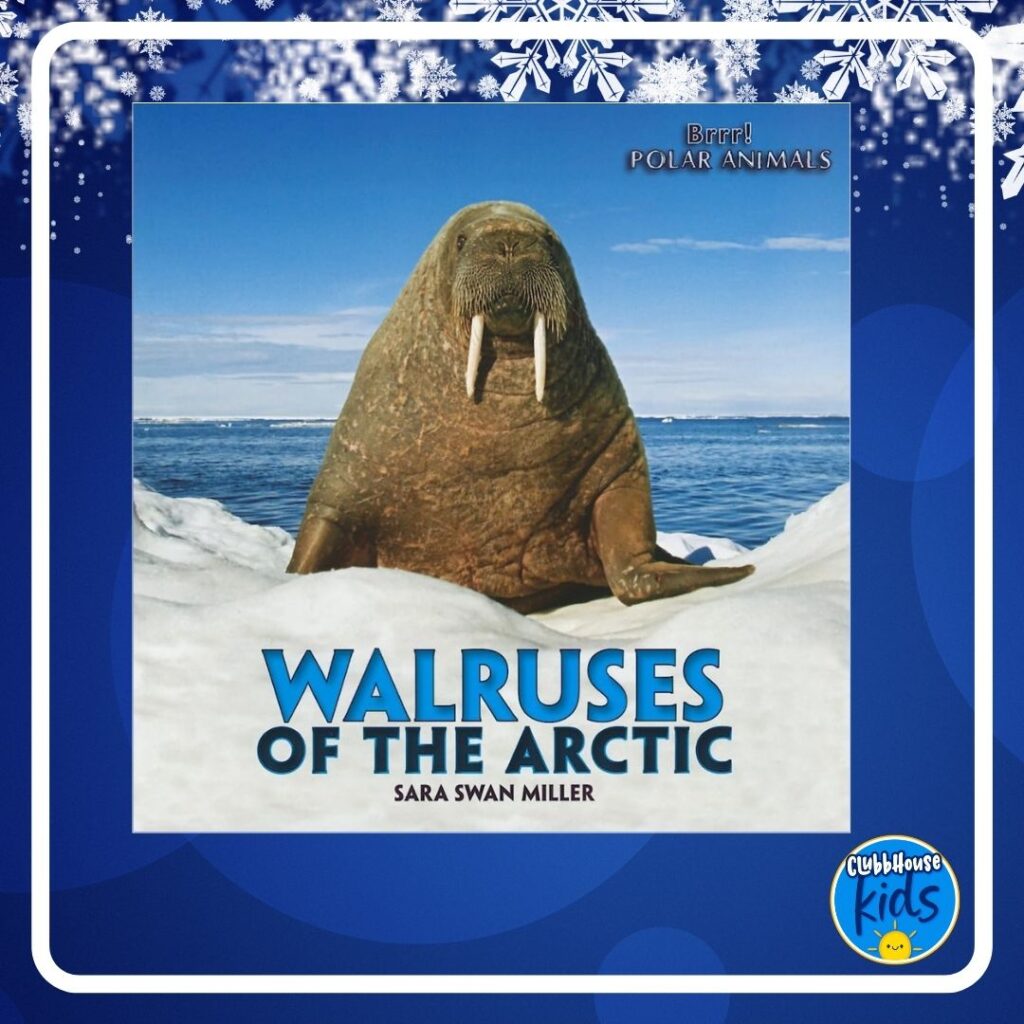 Walruses in the Arctic by Sara Swan Miller- Informative Arctic Animal Book