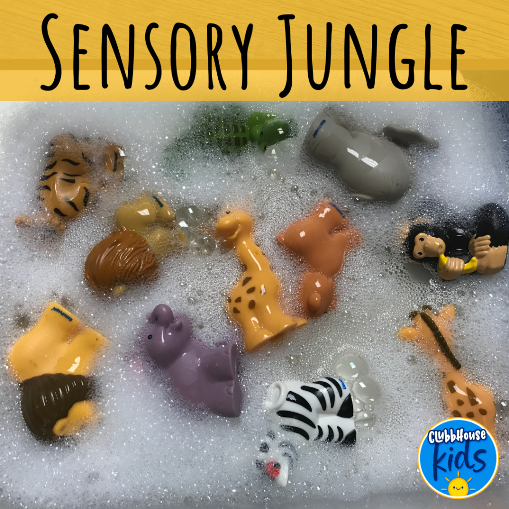 sensory jungle