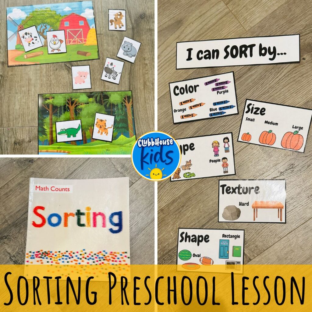sorting ideas for preschoolers