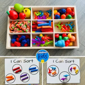 Sorting Tray Activity Teaching Sorting to Preschoolers: Fun and Engaging Math Activities ...