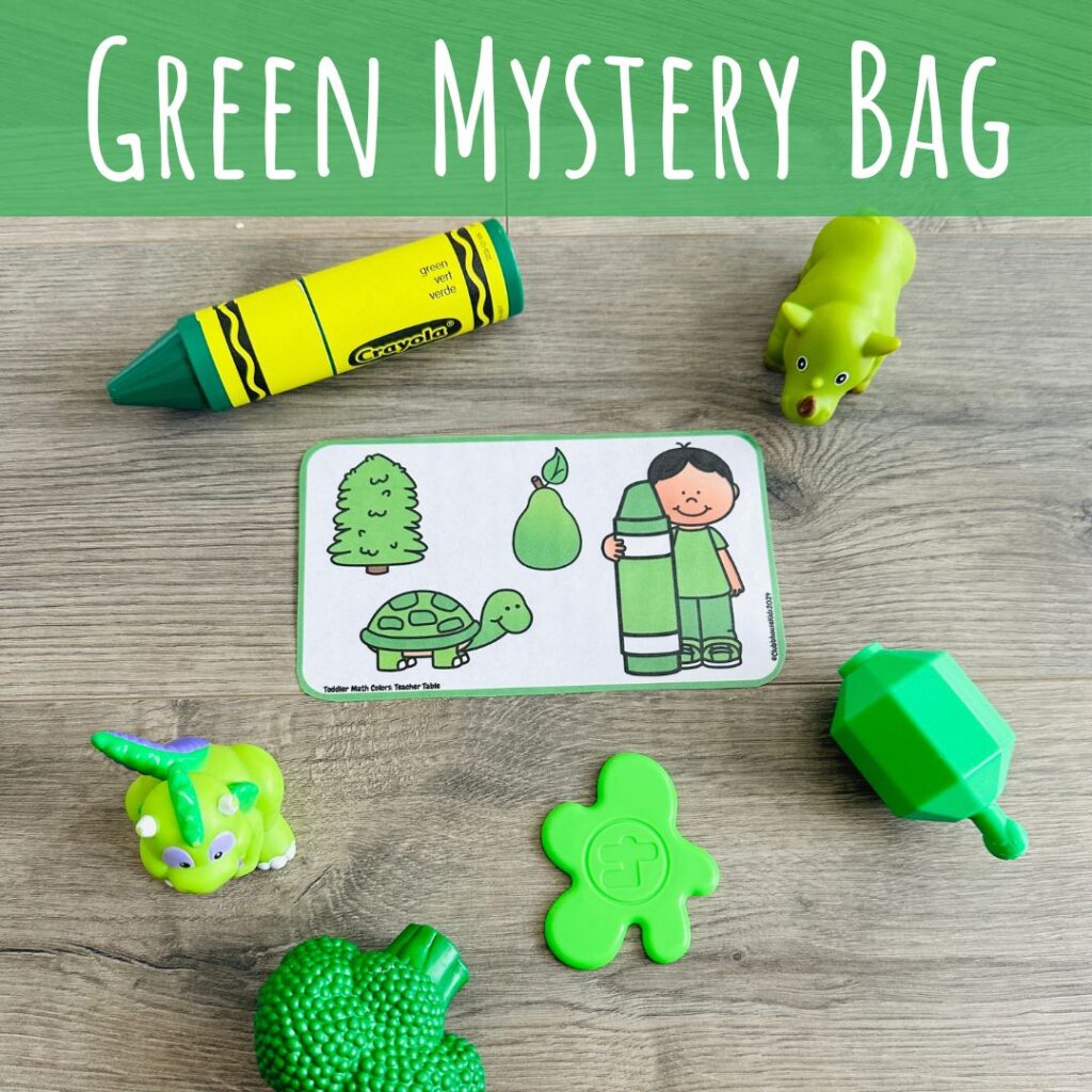 color green mystery bag
