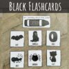 Fun and Engaging Color Black Activities for Preschoolers - ClubbhouseKids