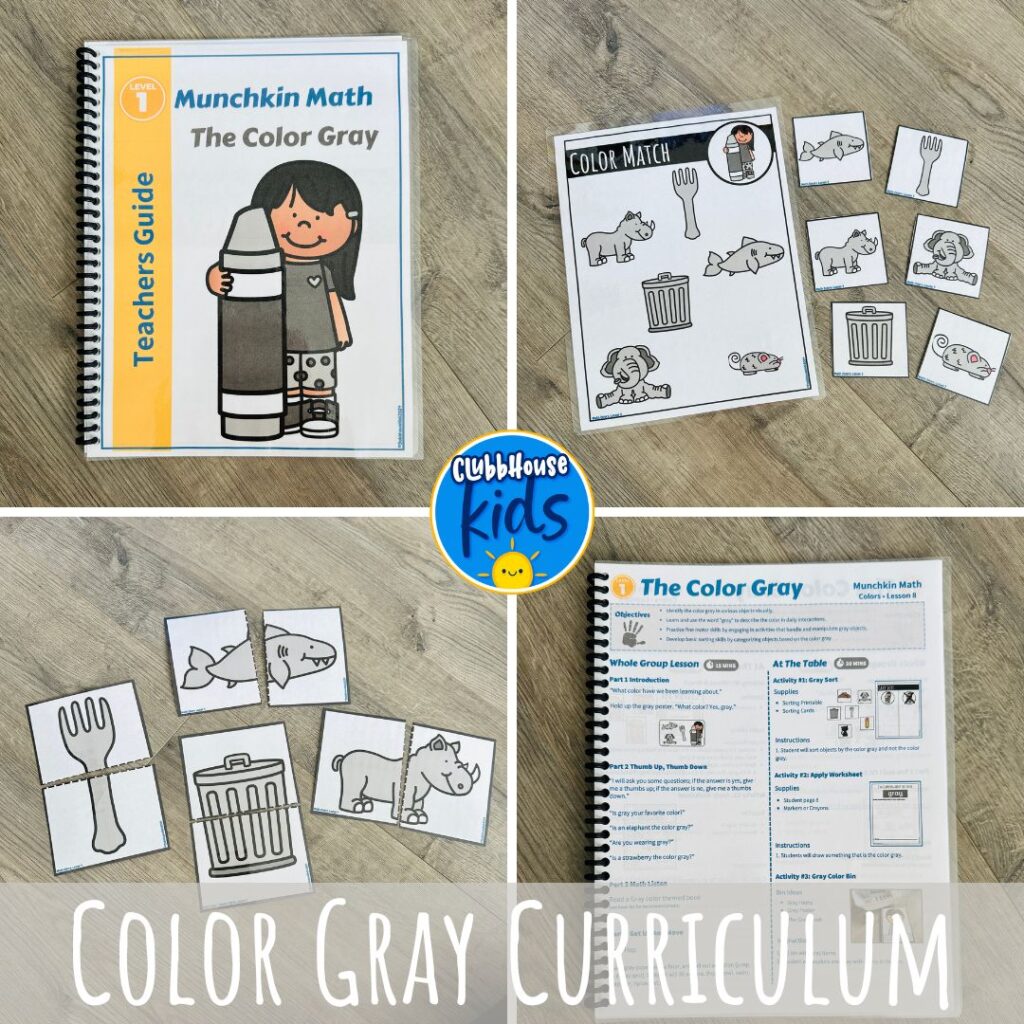 gray color curriculum